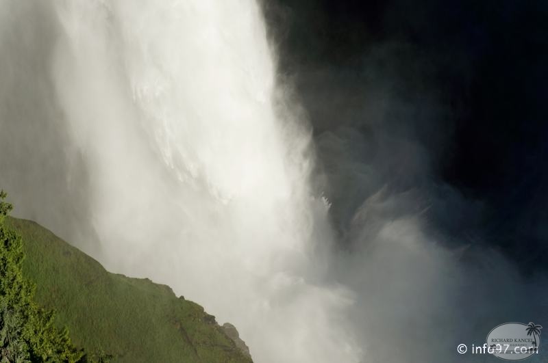 clearwater-park-wells-gray-093.jpg