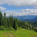 golden-bc-06.jpg