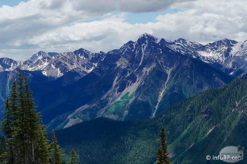 golden-bc-21.jpg
