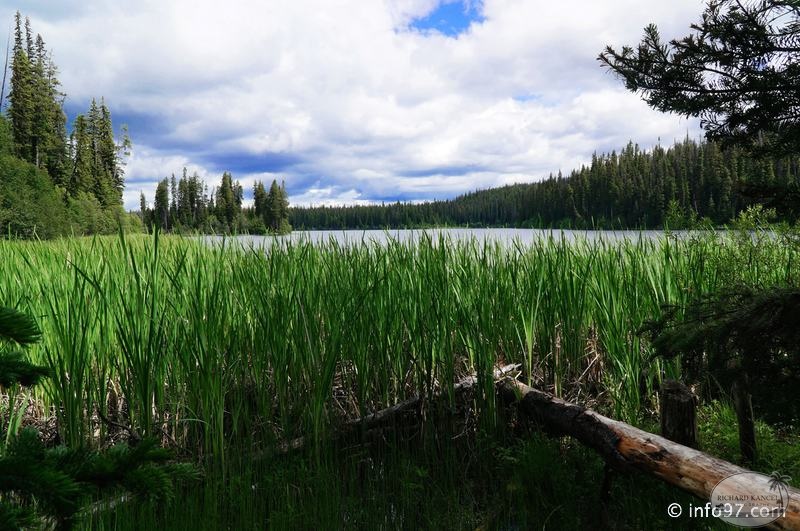 okanagan-14.jpg