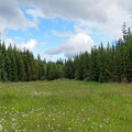 77 Fotos okanagan-18.jpg