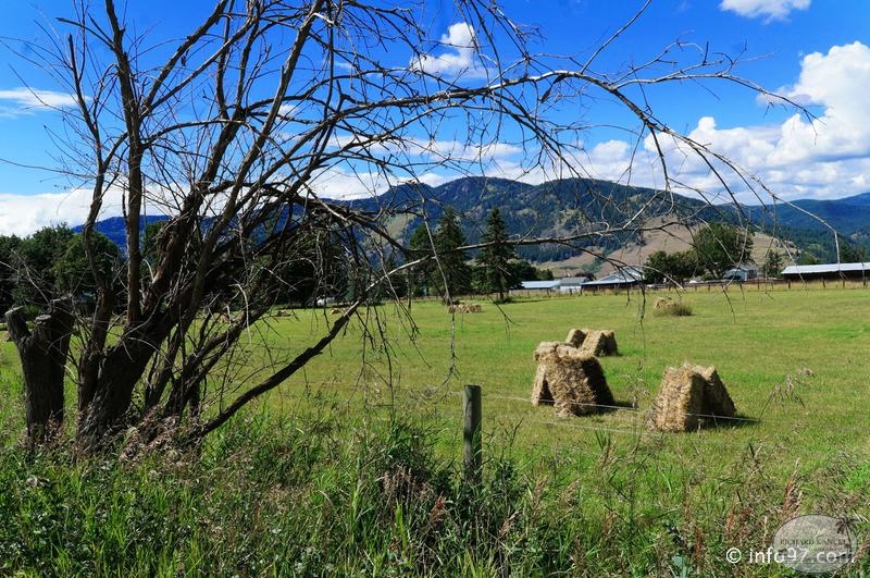 okanagan-35.jpg