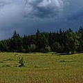 okanagan-38.jpg