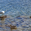 osoyoos-14.jpg