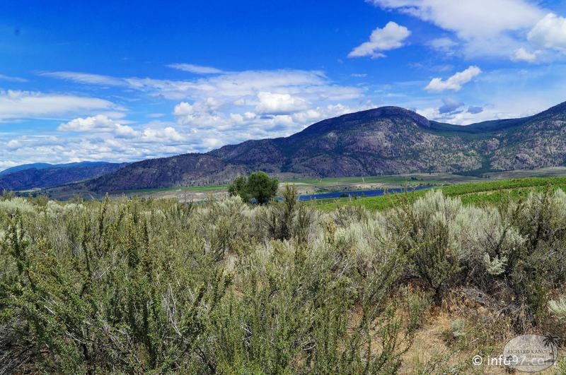 osoyoos-43.jpg