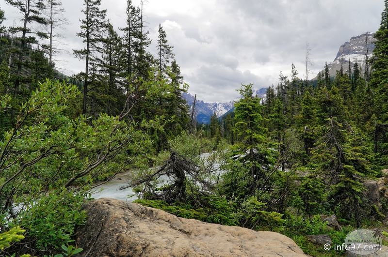 park-yoho-bc-21.jpg