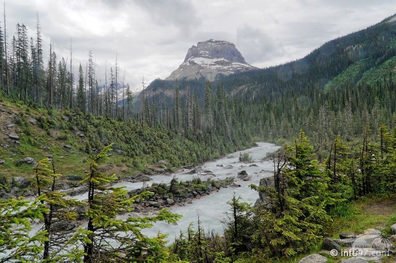 park-yoho-bc-37.jpg