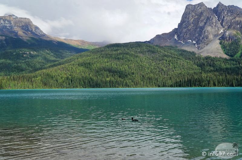 park-yoho-bc-46.jpg