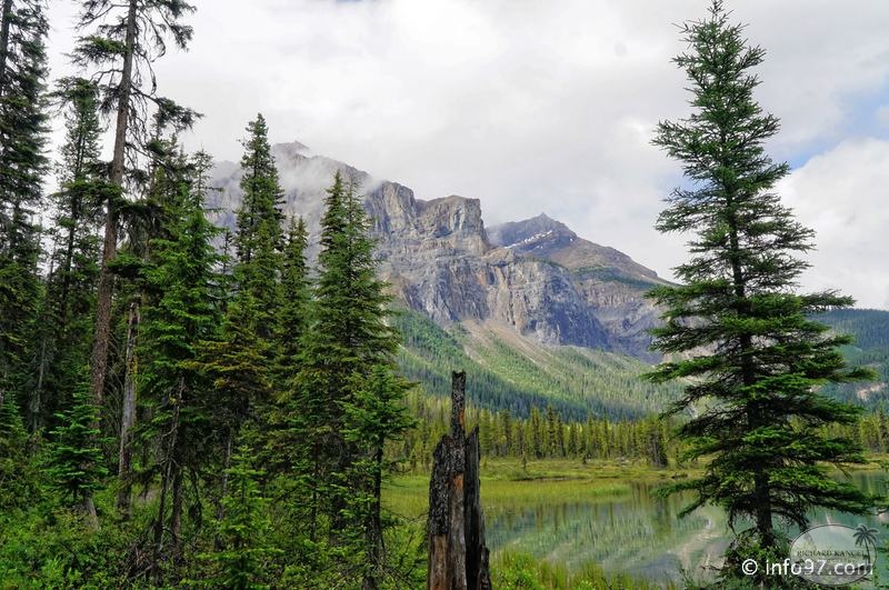 park-yoho-bc-57.jpg