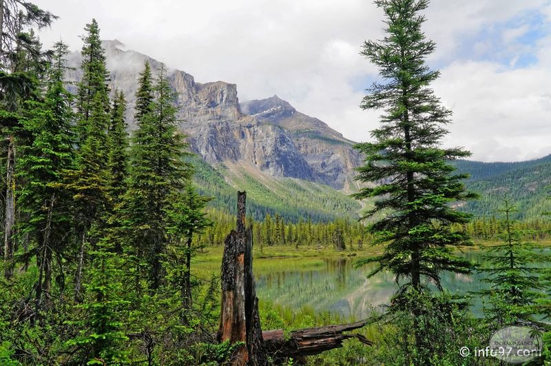 park-yoho-bc-58.jpg