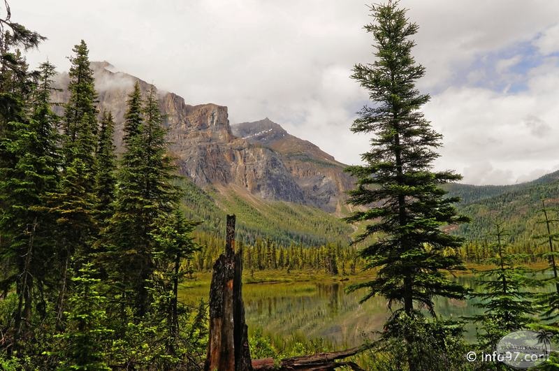 park-yoho-bc-59.jpg