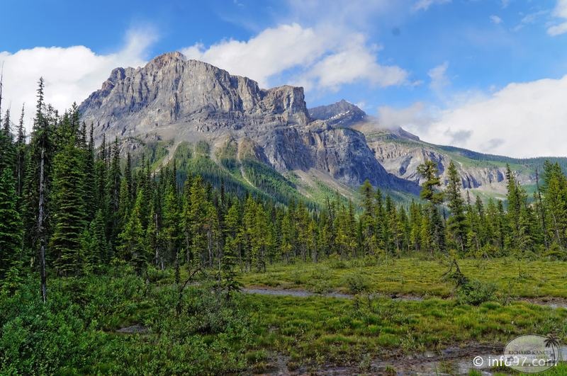 park-yoho-bc-67.jpg