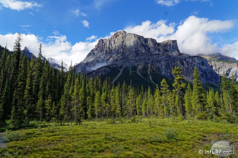 park-yoho-bc-71.jpg