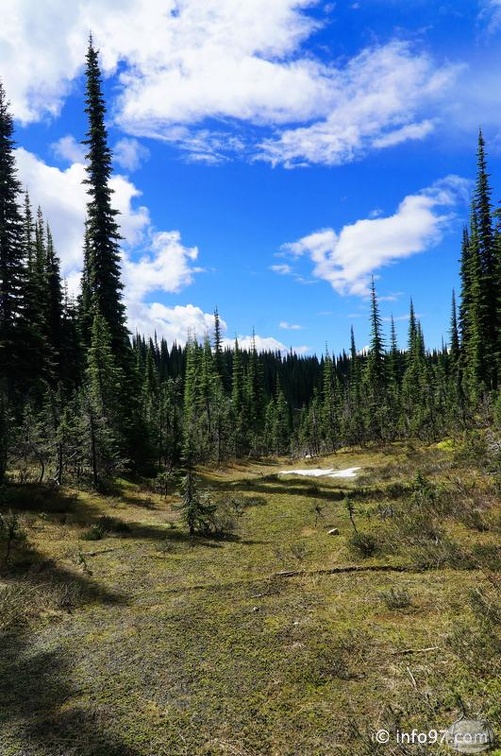 revelstoke-021.jpg