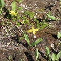 revelstoke-023.jpg