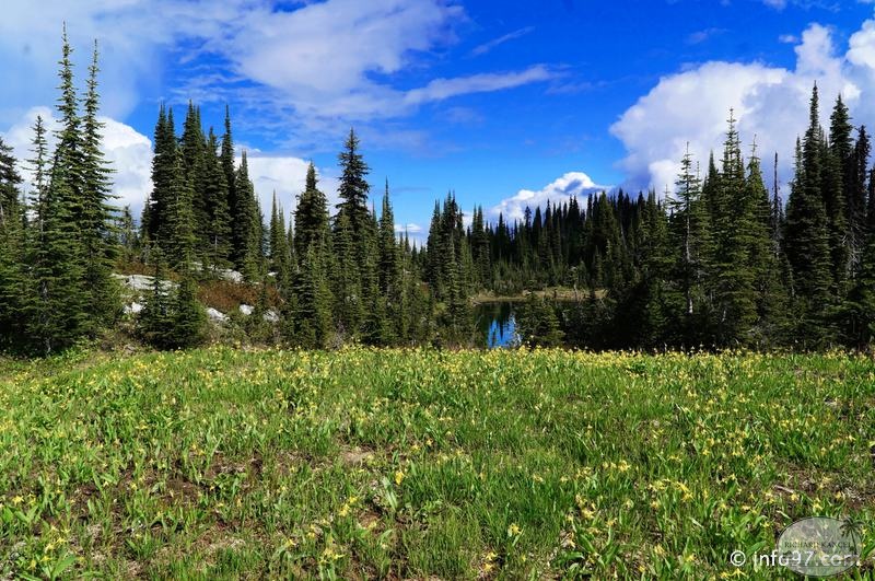 revelstoke-024.jpg