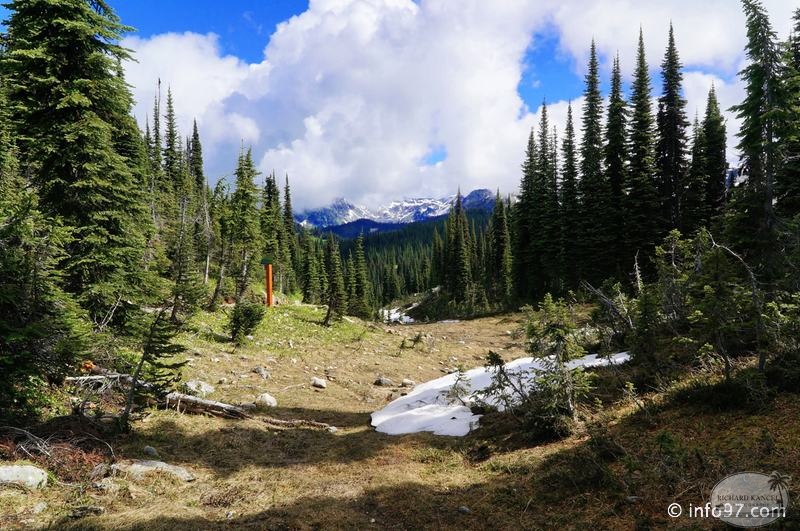 revelstoke-025.jpg