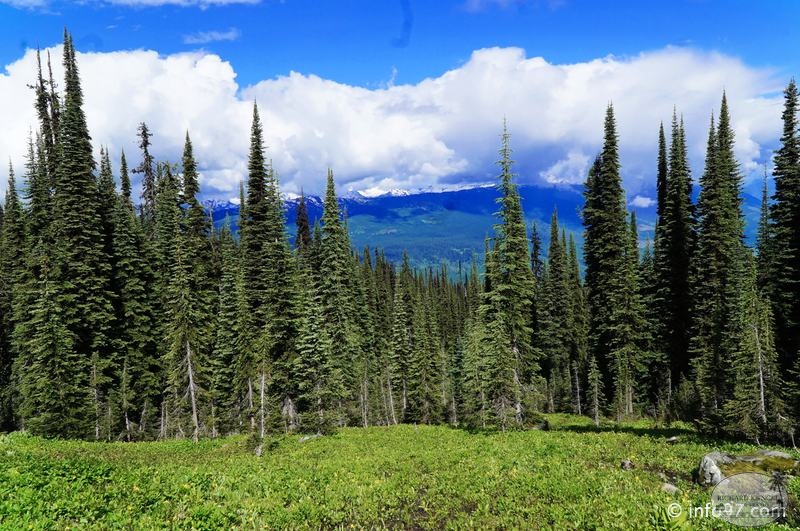 revelstoke-030.jpg