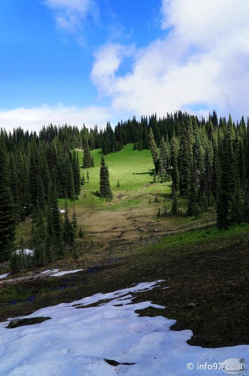 revelstoke-032.jpg