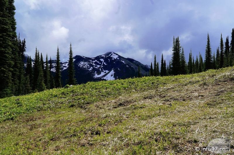 revelstoke-034.jpg