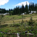revelstoke-037.jpg