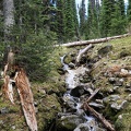 revelstoke-039.jpg