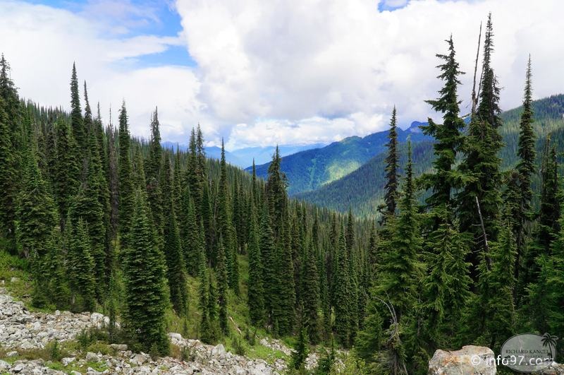 revelstoke-041.jpg
