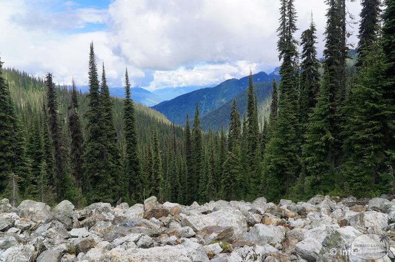 revelstoke-043.jpg