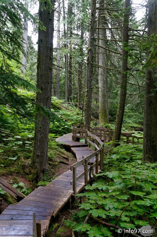 revelstoke-103.jpg
