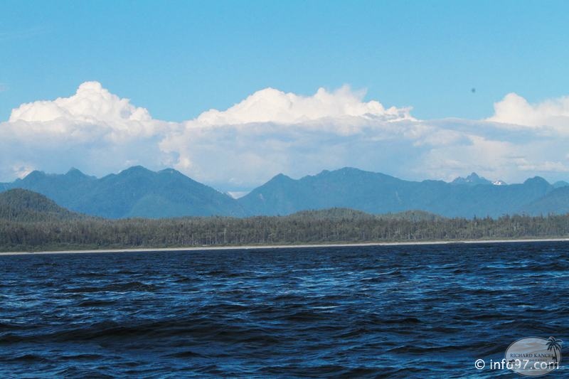 tofino-BC-baleine-49.jpg