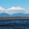 tofino-BC-baleine-49.jpg