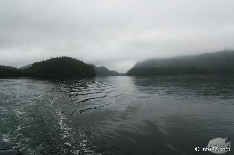 tofino-BC-ours-31.jpg