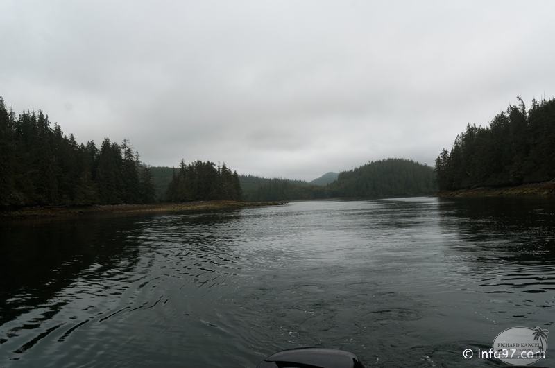 tofino-BC-ours-32.jpg
