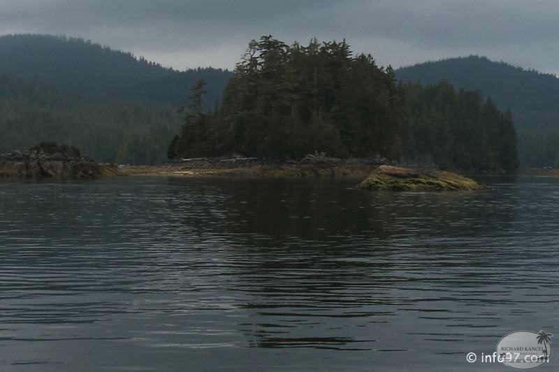 tofino-BC-ours-36.jpg