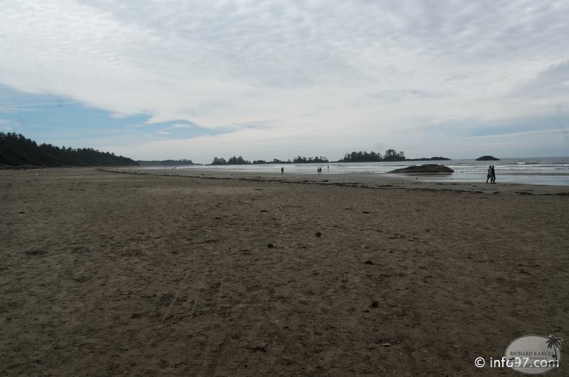 tofino-BC-ours-40.jpg