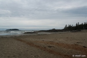 tofino-BC-ours-41