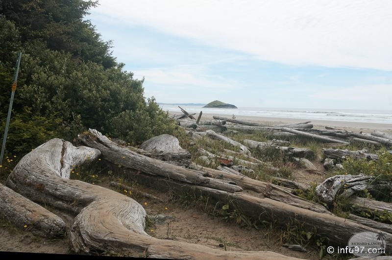 tofino-BC-ours-42.jpg