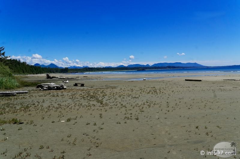 ucluelet-BC-pacific-dream-32.jpg