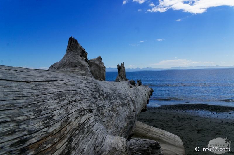 victoria-BC-china-beach-38.jpg
