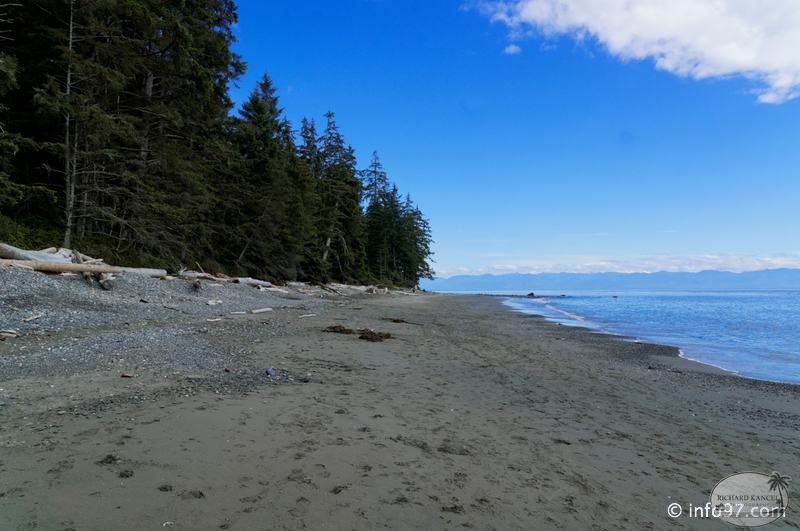 victoria-BC-china-beach-39.jpg