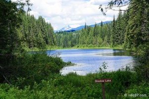 park-wells-gray-08