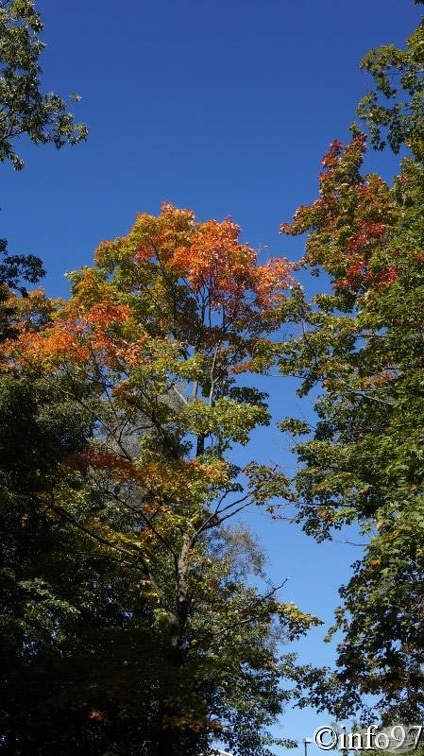 verticale-chute88.jpg