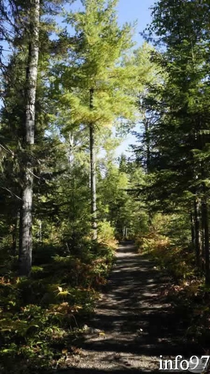 rimouskiDSC07956.jpg