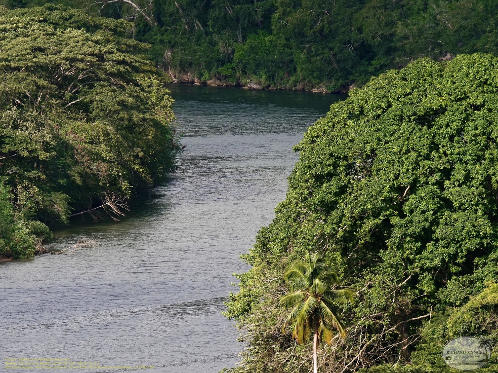 la-romana44.jpg