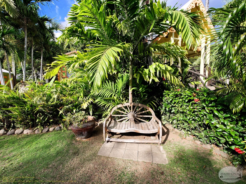 saint-kitts058.jpg