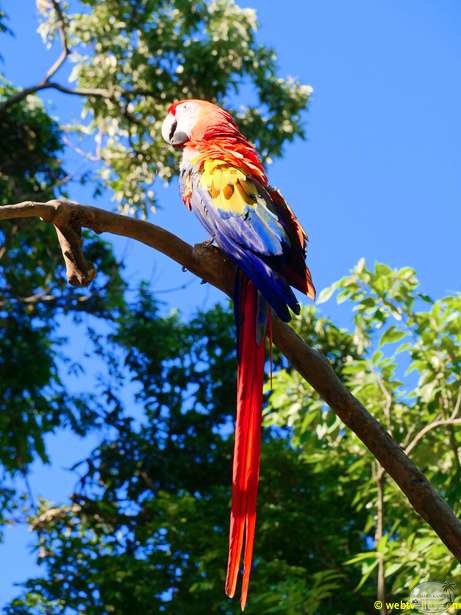 honduras-roatan-038.jpg