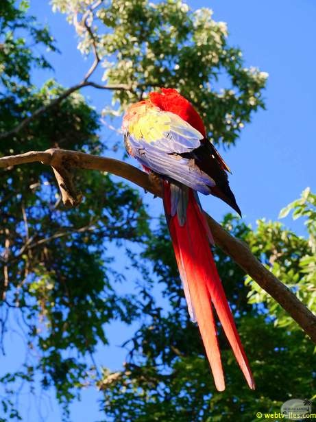honduras-roatan-040.jpg