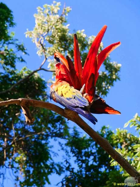 honduras-roatan-042.jpg