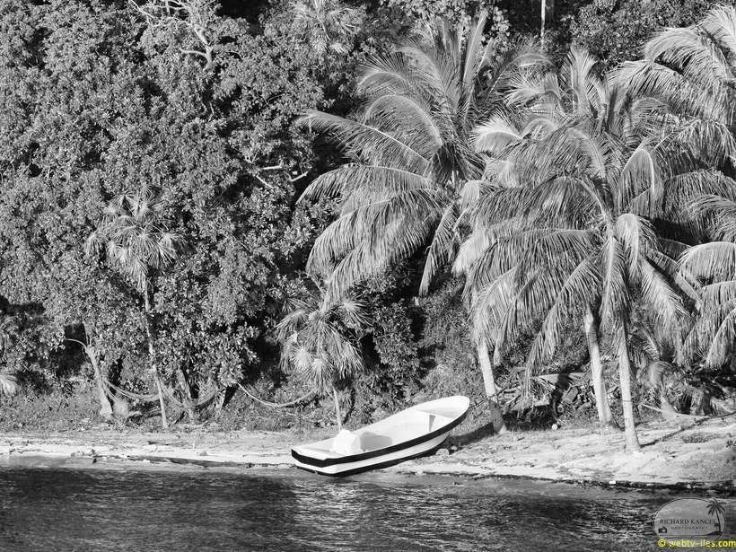 honduras-roatan-124.jpg