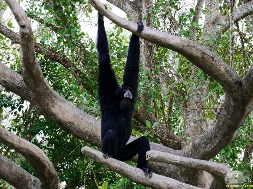 zoo-miami-09.jpg
